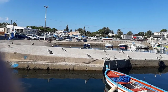 B&b La Palma, Prenota Bed & breakfast Sferracavallo Sicilia