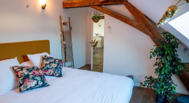 Двухместный номер Comfort La Maison de Souhey