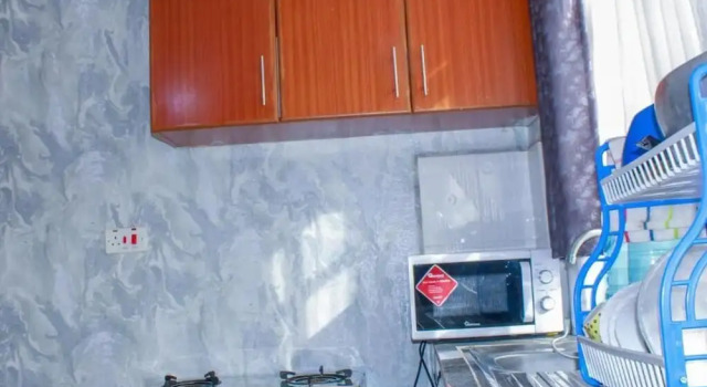 Студия Business Lux Suites Nataliz Apartments Utawala