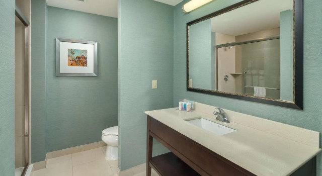 Двухместный номер Standard Hampton Inn Chattanooga West/Lookout Mountain