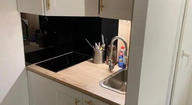 Appartement Esplanade, Забронировать Апартаменты/квартира Апартаменты Страсбурга, рядом с Сад л'Оранжери, Апартаменты/квартира