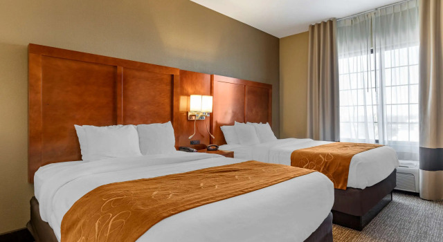Четырёхместный номер Standard Comfort Suites Grand Rapids South