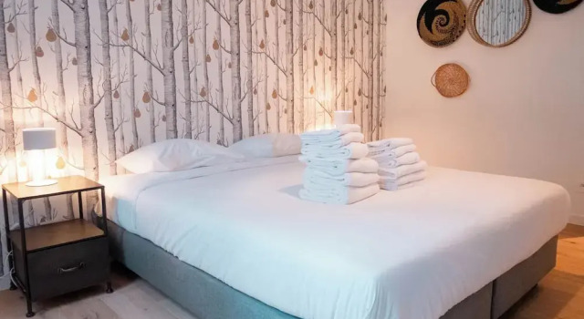 Апартаменты Classic с 3 комнатами Smartflats - View Antwerp