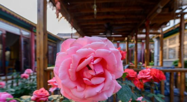 Floral Hotel·Beijing Yiguangnian Xiaoyuan hotel (Changping Shisanling Reservoir Science Park Branch), Book Hotel Hoteller i Beijing Province med parkering, Parkering