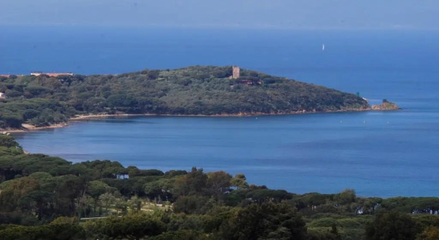 Апартаменты Sul mare di Punta Ala