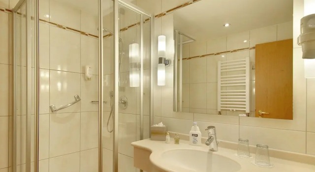 Одноместный номер Comfort Hotel Kriemhild am Hirschgarten