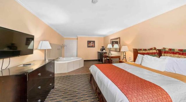 Двухместный номер Standard Lemon Tree Hotel and Suites