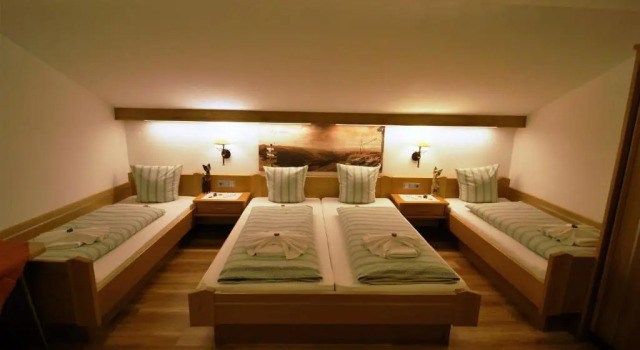 Четырёхместный номер Standard с балконом All Inclusive Hotel Bachmayerhof