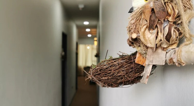 The Nest Hostel Semporna, Boek Hostel Goedkope hotels in Borneo