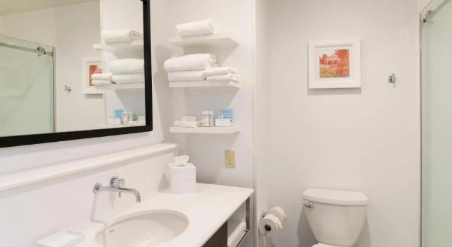 Люкс Hampton Inn Mount Pleasant