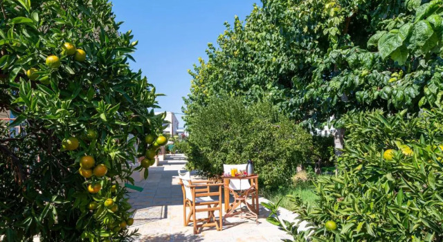 Коттедж c 1 комнатой Anesis Residence