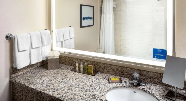 Двухместный номер Standard DoubleTree by Hilton Silver Spring Washington DC