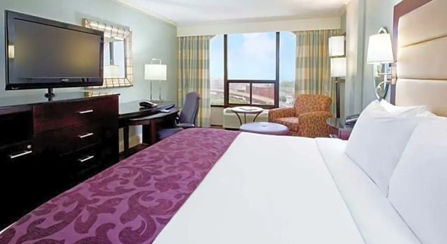 Номер Deluxe Hotel Belvoir Springfield