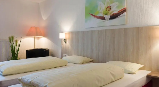 Двухместный номер Comfort City Hotel Meckenheim
