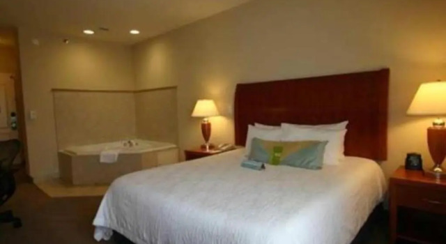 Люкс Hilton Garden Inn Columbia
