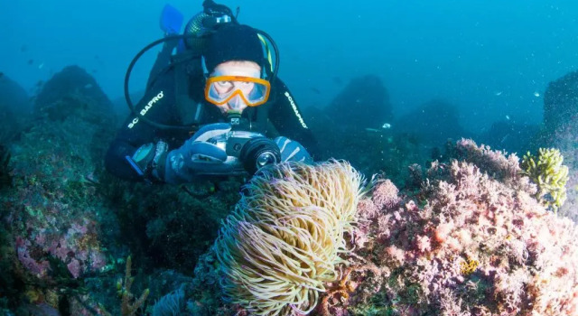 Студия PuraVida Divehouse
