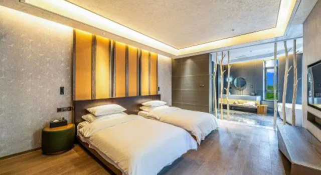 Люкс Star Astronomy Hotel