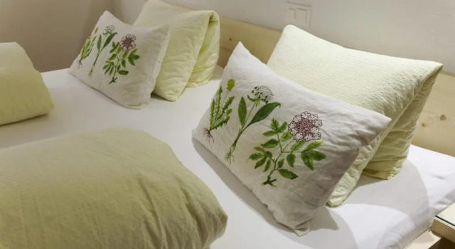 Номер Standard Hotel Alpsu
