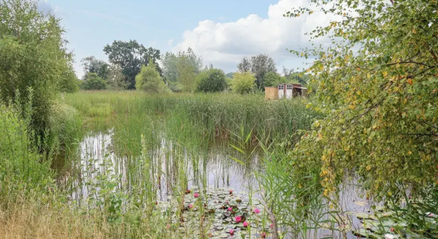 Коттедж Willow Cottage
