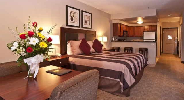 Номер Standard Shilo Inn Suites Hotel - Killeen