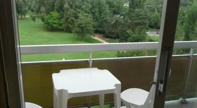 Двухместный номер Standard с видом на парк Brit Hotel Le Parc Vichy