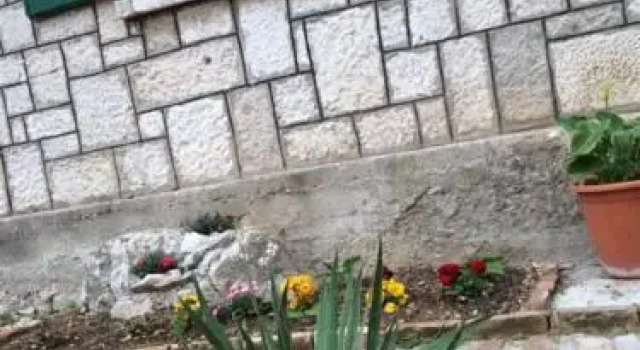 Apartments Gogi, Забронировать Апартаменты/квартира Апартаменты Шибеник, рядом с Sibenik Town Museum, Апартаменты/квартира