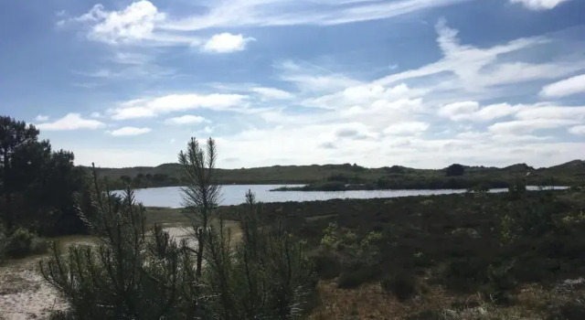 Коттедж Holiday Home in Schoorl Near Forest & Beach