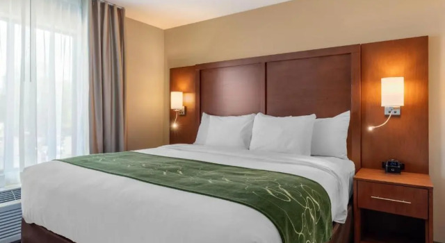 Номер Standard Comfort Inn & Suites Schenectady - Scotia