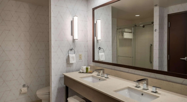 Двухместный полулюкс Hilton Asheville Biltmore Park