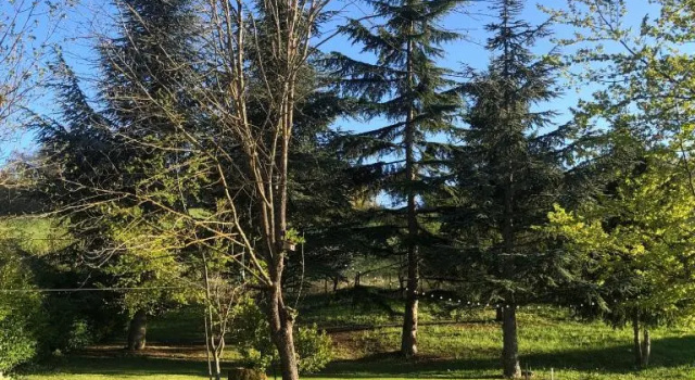 La Borra