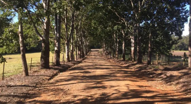 Blackwattle Farm B&B, Prenota Agriturismo Hotel a Queensland con parcheggio, Parcheggio