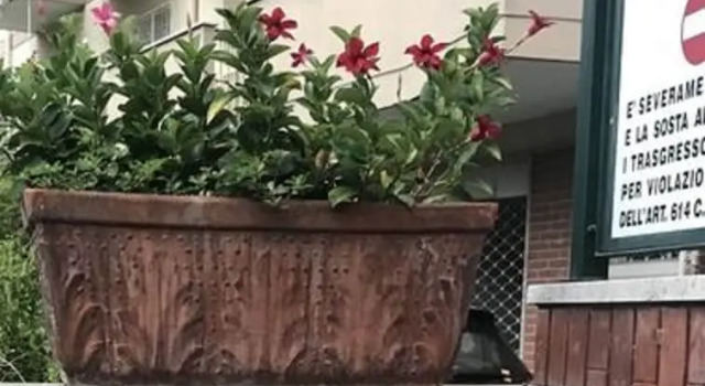 Al Parco Primavera