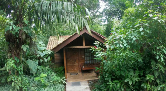 Бунгало Arenal Oasis Eco Lodge & Wildlife Refuge
