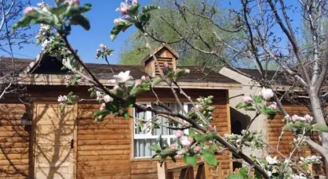 Tex Xiyue Bieyuan, Prenota Hotel Tekes Xinjiang