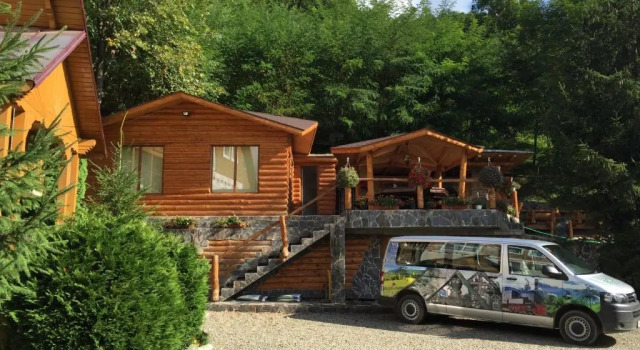 Вилла Vila Flora Viseu de Jos
