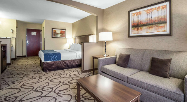 Двухместный люкс Comfort Suites Salt Lake City Airport