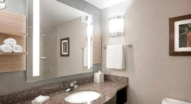 Двухместный номер Standard с красивым видом из окна Hilton Garden Inn Cleveland Downtown