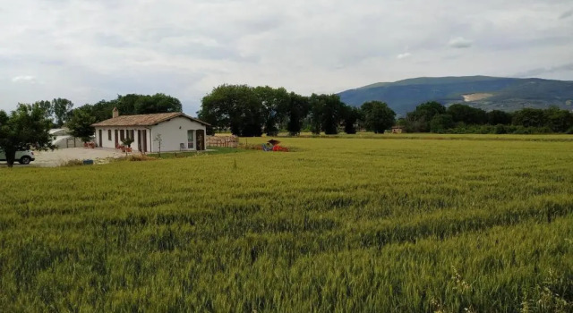 Апартаменты AGRITURISMO " LE SERRE"