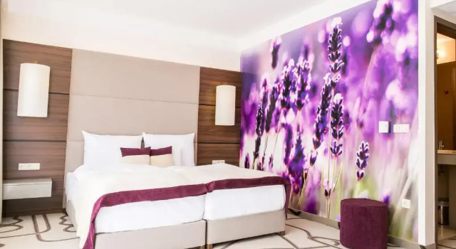 Двухместный номер Superior с балконом Ambient Hotel & Thermal Spa