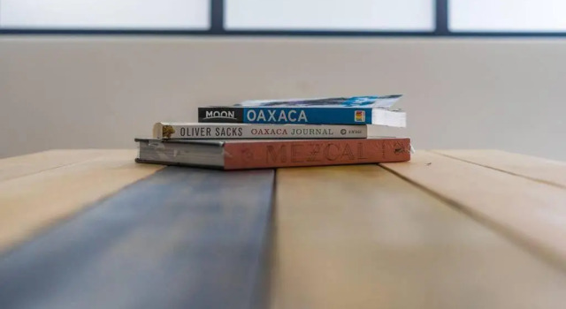 Апартаменты c 1 комнатой JUUB More Oaxaca Impossible