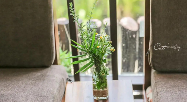 Номер Standard с балконом Cat Homestay
