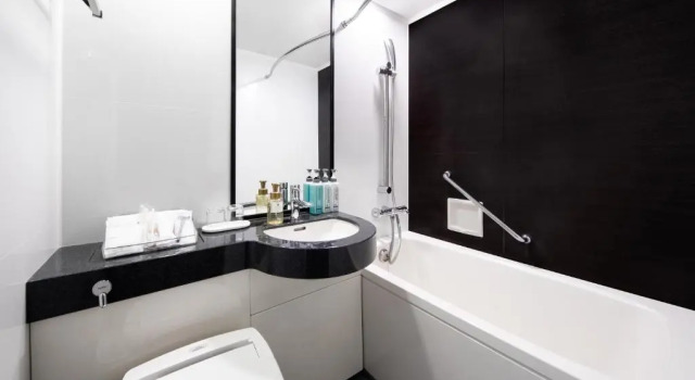 Двухместный номер Standard с видом на город Asakusa View Hotel