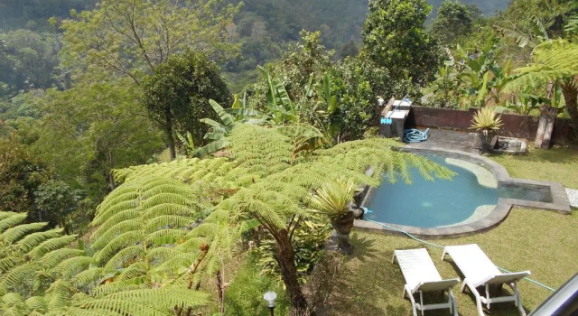 Апартаменты Deluxe Shangrilah Villas