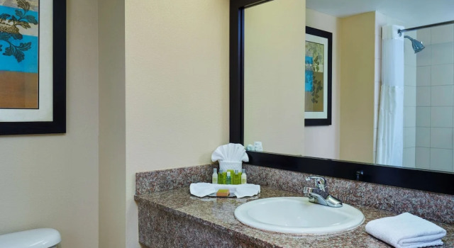 Четырёхместный номер Deluxe Курорт DoubleTree by Hilton Orlando Theme Park