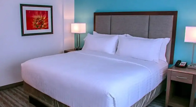 Люкс Standard Holiday Inn & Suites Denver Tech Center-Centennial by IHG