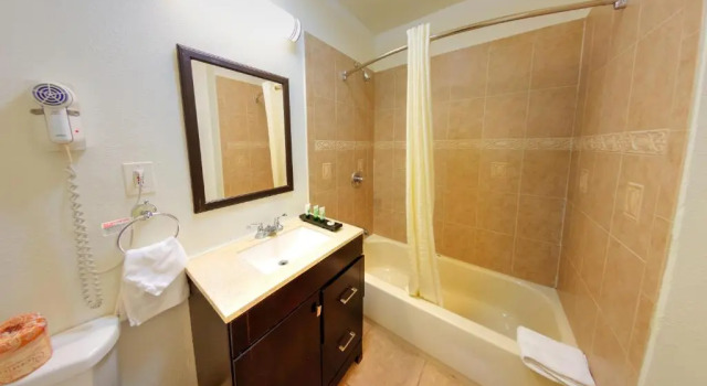 Четырёхместный номер Standard Palm Tropics Motel