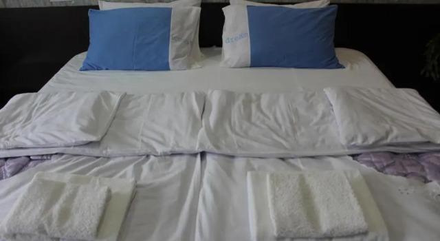 Номер Deluxe Roza Guesthouse