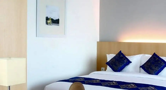 Одноместный номер Deluxe Wyne Hotel