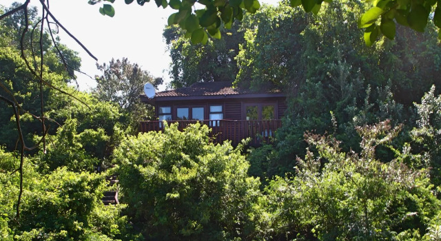 Mtunzini Forest Lodge Self Catering Resort, Забронировать Отель Бизнес-отели Мтунзини, 4* 5*