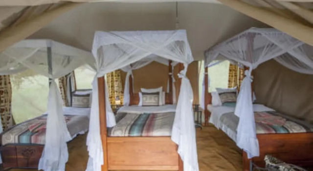 Acacia Migration Camp Kogatende, Забронировать Кемпинг Кемпинги и глэмпинги Серенгети, Кемпинг